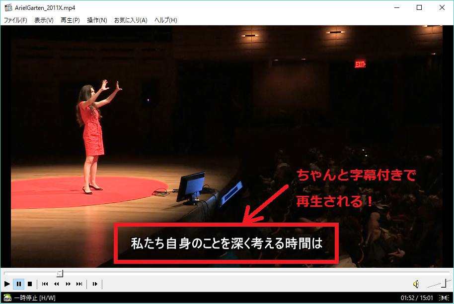 Ted動画を字幕付きでダウンロードする方法 マッキンダムの空から